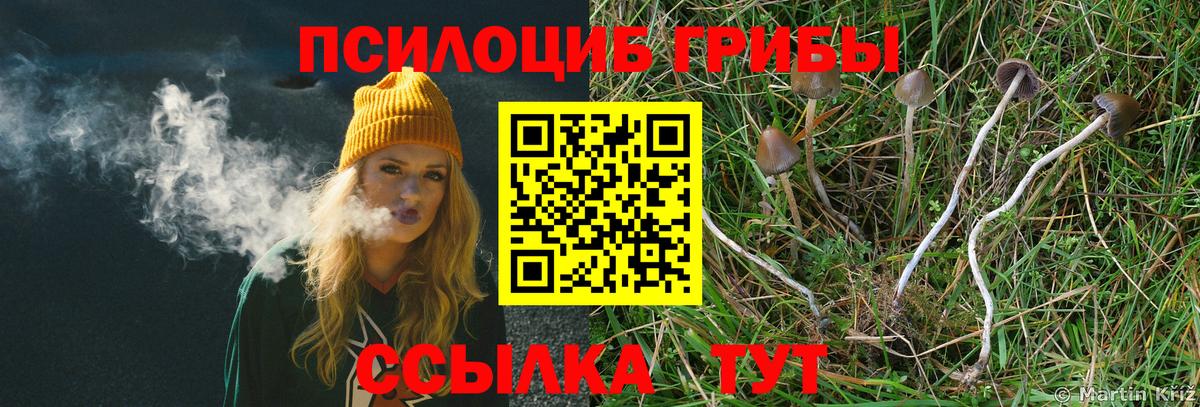 Галлюциногенные грибы GOLDEN TEACHER Зеленокумск