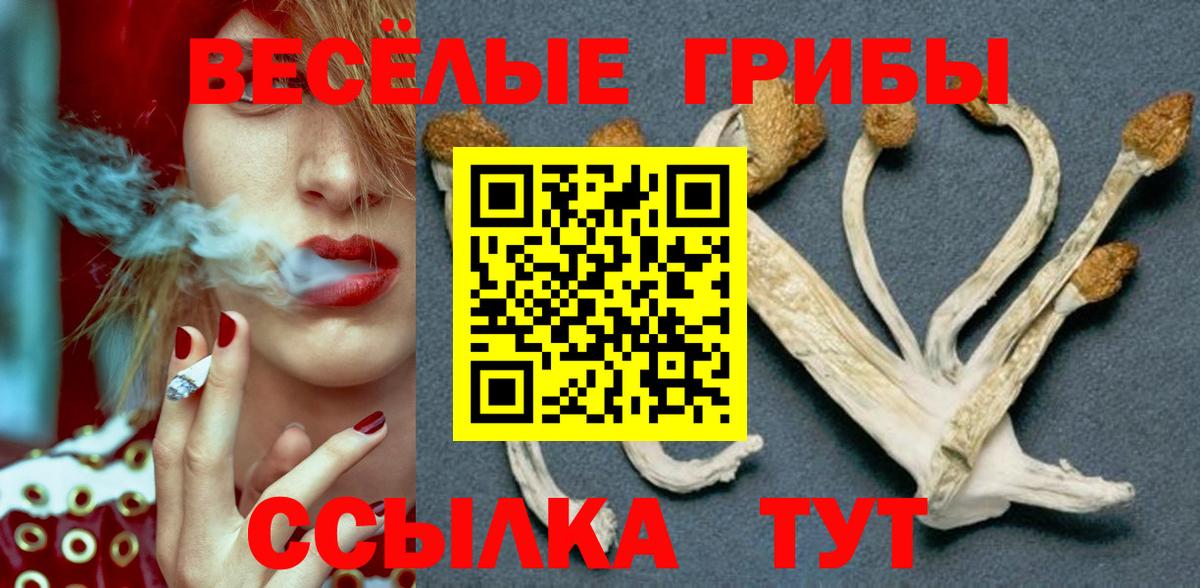 Зеленокумск  Галлюциногенные грибы ЛСД  Вход с VPN 